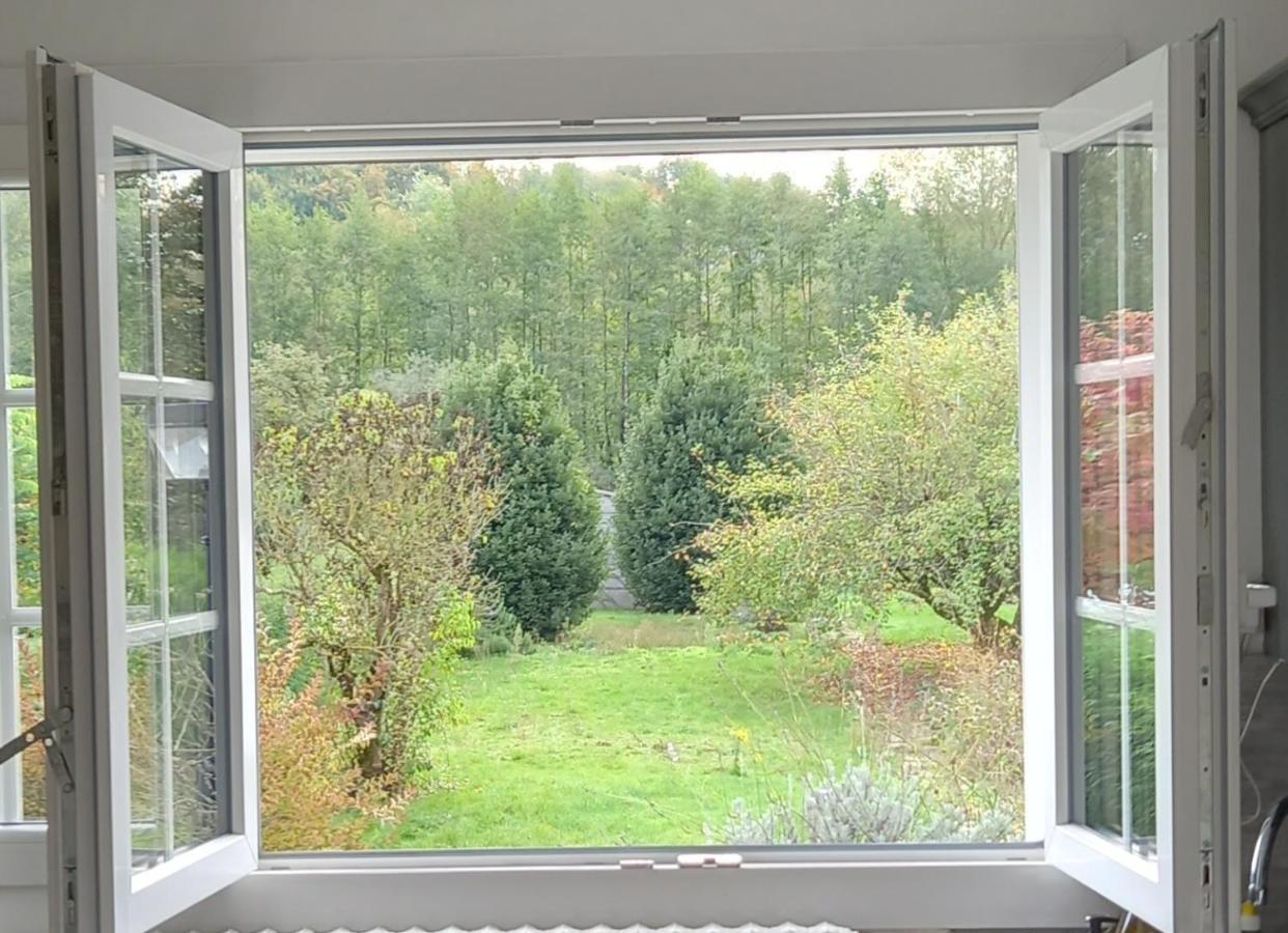 Au Bord Du Vilpion Apartment Marle-et-Behaine Bagian luar foto